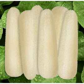 Zhouboat 11.8 inches Natural Loofah Sponges Pack of 6, for Kitchen Dishes Body Scrubber