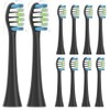 10 brush heads suitable for Tristan Auron replacement brush heads,