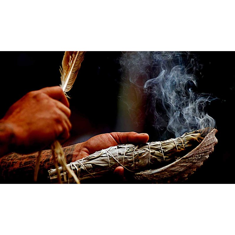 Smudge Herbs Pack California White Sage Cedar Blue sage (White