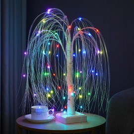 NXUEBDU Willow Tree with LED Lights, 2 feet 60 LED RGB Color Changing Light Up Willow Tree with Remote, Lighted Tabletop Tree Lamp for Chritmas Birthday Wedding Party Decoration