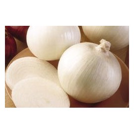 Onion White Sweet Spanish Bulk 5,000 Seeds Great Heirloom Vegetable
