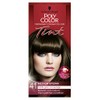 Schwarzkopf Poly Tint Colour, Medium Brown Number 41 - Pack