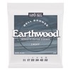 Ernie Ball Light Earthwood Bell Bronze Acoustic Guitar Strings 11-52
