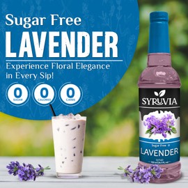 Sugar-Free Lavender Syrup by Syruvia 6-Pack, 25.4 fl oz, Wholesale Coffee Syrup Shops, Cafes, Baristas, Bistros, & Beverage Bars, Bulk Kosher & Gluten-Free