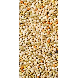 Scarlett Naturals Finch–25 lb Bag