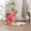 Bone Dry Pet Robe Collection, Embroidered Absorbent Microfiber Bath Robe