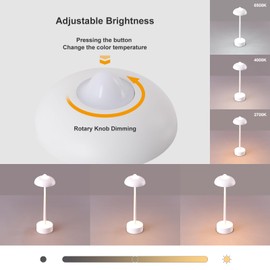 DAWALIGHT White Battery Operated Table Lamp, Cordless Rechargeable LED Desk Lamp 5200mAh, Waterproof 3-Level Dimming 2700K-6500K, Aluminum Portable Outdoor Light