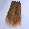 Color 27 Honey Blonde Pre Looped Boho Box Crochet Braids