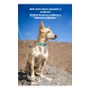 UNA MASCOTA Collar para Perros de Moda y Confort -