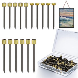 Picture Hanging Nails Kit, 120 Pcs Brass Head Picture Hanging Nails, Wall Decorative Nails for Photo Picture Frame Hanging
