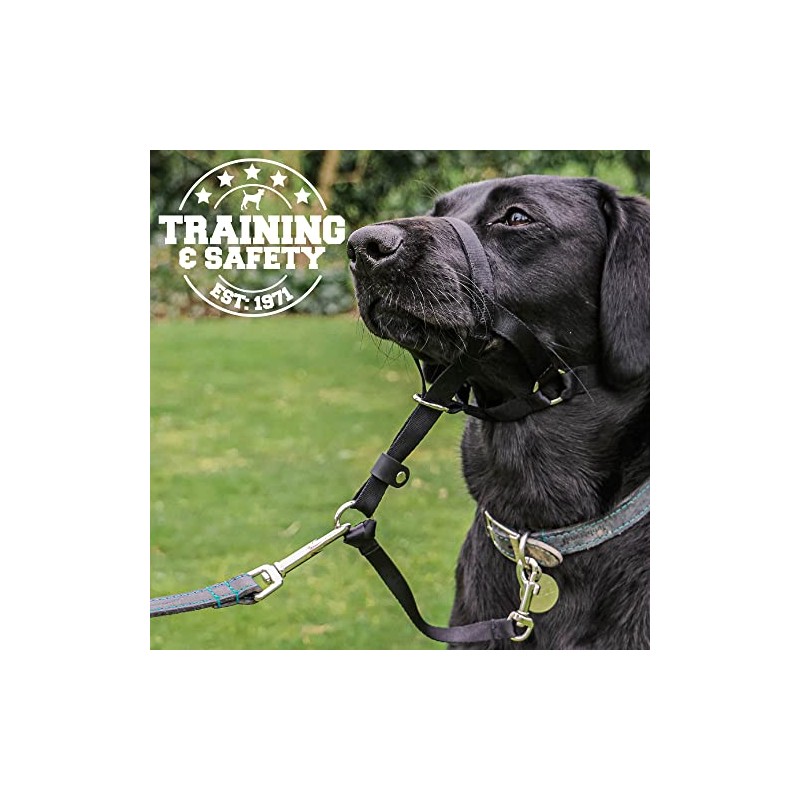 Ancol Nylon Training Halter, Black, size Large (5-6) 54 cm