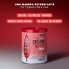 Birdman Creatine Electrolyte Refresher | Creatina Monohidratada con Electrolitos Esenciales,