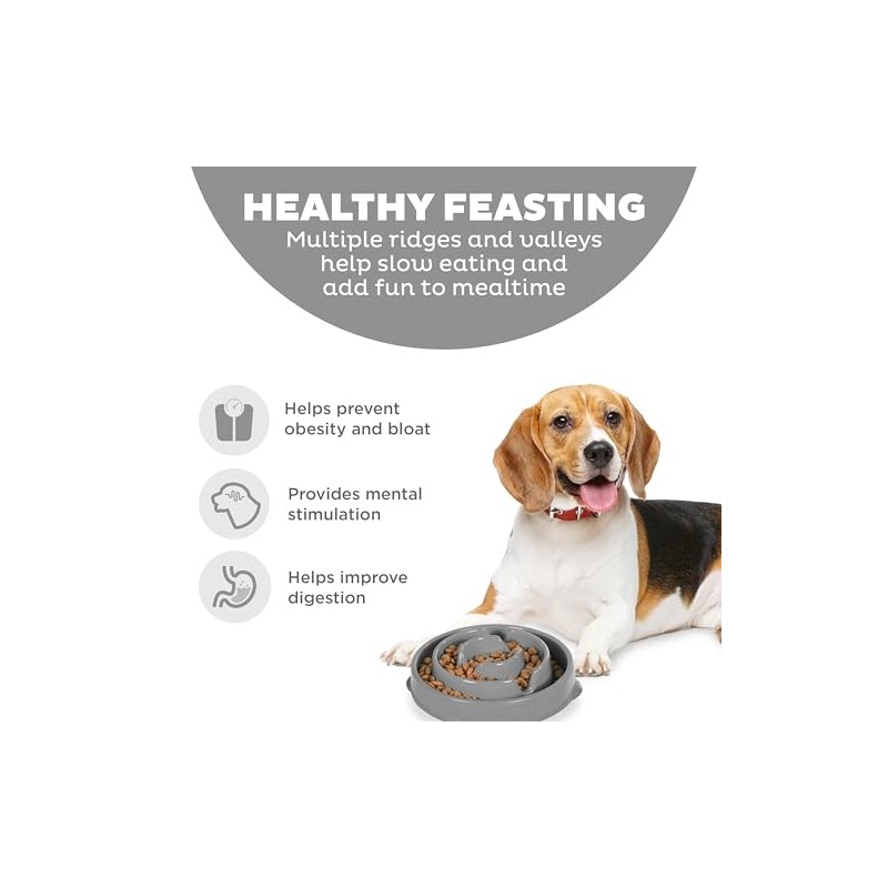 Outward Hound Fun Feeder Slo Bowl, Slow Feeder Dog Bowl,