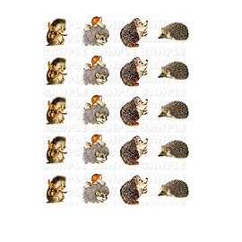 Cute Animal Hedgehog Nail Art Decals