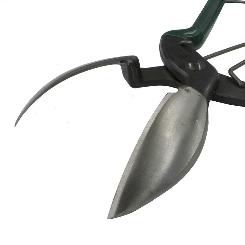 Pumpkin Shaft Cutting Shears for Cutting Garlic Root (Green (for