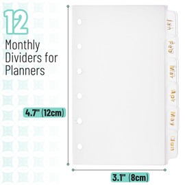 Mr. Pen- Monthly Dividers for Planner, 12pcs, 4.7"x3.1", Monthly Tabs for 6 Ring Binders, Month Tabs, Monthly Binder Dividers with Tabs 12 Months, 12 Tab Dividers