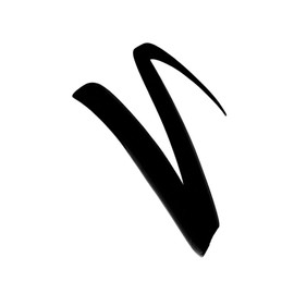 L'Oréal Paris Camila Cabello Flash Liner 01 Black Eyeliner with Precise Felt Tip 2.5 ml