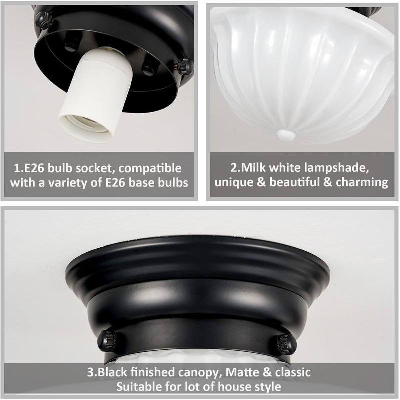 youngrender Black Schoolhouse Light Fixture Ceiling, 9 Inch Hallway Semi