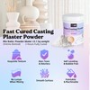 LET'S RESIN Resin Casting Powders Starter Kit, 1000g Fast Cured