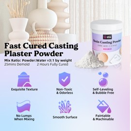 LET'S RESIN Resin Casting Powders Starter Kit, 1000g Fast Cured Odorless Casting Powder, 20~30 Minutes De-Mold, Water Activated Plaster Powder Casting Kit for DIY, Easy Mixing & Self Leveling