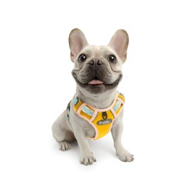 TUFF HOUND Dog Harness, Mesh Material, Breathable, Night Reflective, Prevents Pulling, Walking Aid, Popular, Cute, Lightweight, Small Dogs, Medium Dogs, Large Dogs, Shiba Inu, Torso Ring, Adjustable, For Walks (M, Yellow)