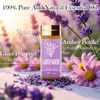 Essential Oil Set, 15 Pcs Fragrance Aromatherapy Oils for Skin,