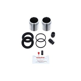 Bigg Red - Front Left or Right Brake Caliper Repair Seal Kit and Pistons - Compatible with Santa FE, XG, H1, Trajet, Highway, Ssangyong Rexton