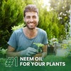 Yield Rx 100% Pure Cold-Pressed Concentrated Neem Oil – Natural