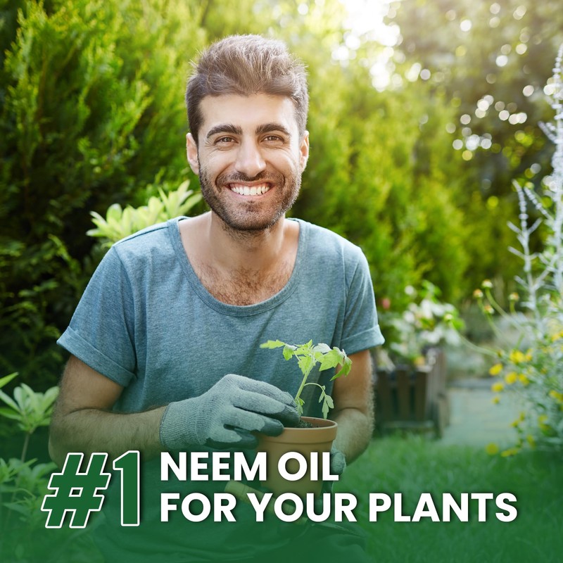 Yield Rx 100% Pure Cold-Pressed Concentrated Neem Oil – Natural