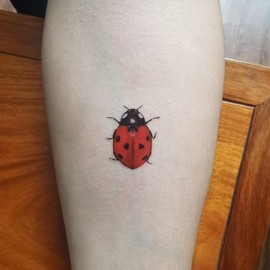 Ladybug Temporary Tattoo Stickers Waterproof Insects Bee Cartoon Hand Arm Shoulders Body Art 10.5X6cm Set of 12 (SF313)