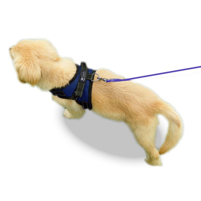 Copatchy No Pull Adjustable Reflective Dog Harness with Handle (Small,