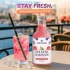 Sea Moss Lemonade Variety Pack – 4 Flavors Sampler: Lemon,