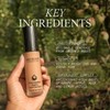 AmazonUsluxury Juice Beauty Phyto-pigments Flawless Serum Foundation,, rosa beige (Rosy
