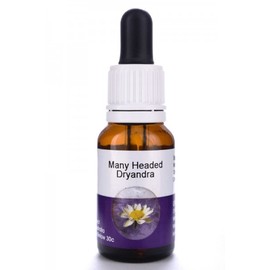 Living Essences Many Headed 15ml