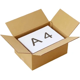 Earth Cardboard, 80 Size, A4, Set of 20, Cardboard, 80, Shoes, A4 File, Packing, ID0417
