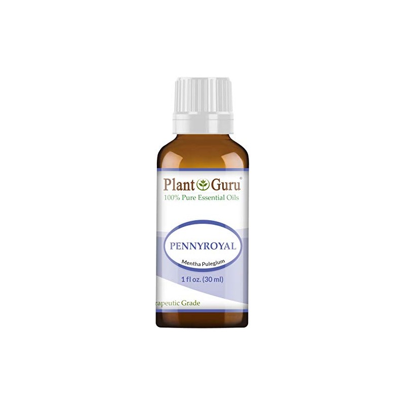 Pennyroyal Essential Oil 1 oz / 30 ml 100% Pure