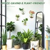 DomeStar 4PCS Wall Vases, Wall Mounted Hanging Glass Vases Clear