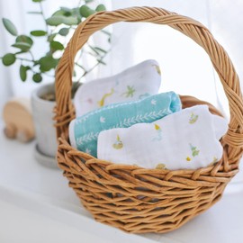 aden + anais AWCC30014 Washcloth Set, Genuine Japanese Product, 3 Pieces, Year of the Snake, Baby Gift, Gauze Handkerchief, Cotton, 11.8 x 11.8 inches (30 x 30 cm)