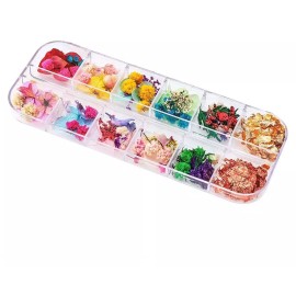 YWLI 108 Flores Secas Para Arte De Uñas  33 Colores Encantadores