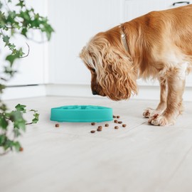 Relaxdays 2 x Anti Sling Bowls, Feeding Bowl for Dogs, Diameter 30 cm, for Slow Eating, Dishwasher-Safe Dog Bowl, Turquoise
