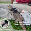Scaly Pet Bearded Dragon Leash and Harness Set with Bearded