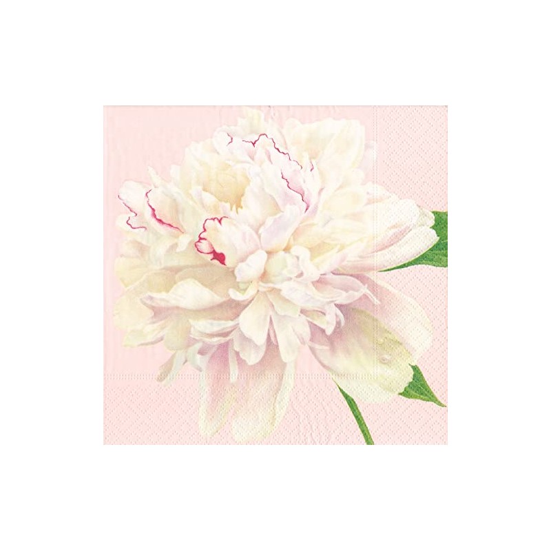 Caspari Duchess Peonies Paper Cocktail Napkins in Blush, 20 Per