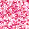 Toyo 860851 Origami Sakura Chiyogami Collection, 5.9 inches (15 cm)