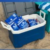 Below Zero Prefilled Reusable Ice Packs for Coolers | Long
