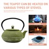 SECHUDO Cast Iron Teapot Tea Kettle with Stainless Steel Infuser