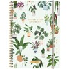 BRUNNEN School Calendar 2025/2026 "Little Plants" | A5, Plastic