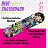 Roller Derby Learn with Lutzka Astronaut Skateboard Deluxe Series for