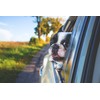 NANOMAN Nano-technology Car Fabric & Upholstery Care - Hydrophobic Waterproof