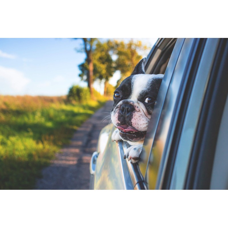 NANOMAN Nano-technology Car Fabric & Upholstery Care - Hydrophobic Waterproof