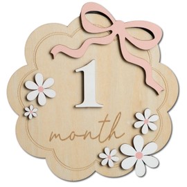 Baby Monthly Milestone Sign,1-12 Monthly Baby Milestone, Month Milestone Baby Girl, Baby Months Milestone, Newborn Photography Props Double-Sided (B12)
